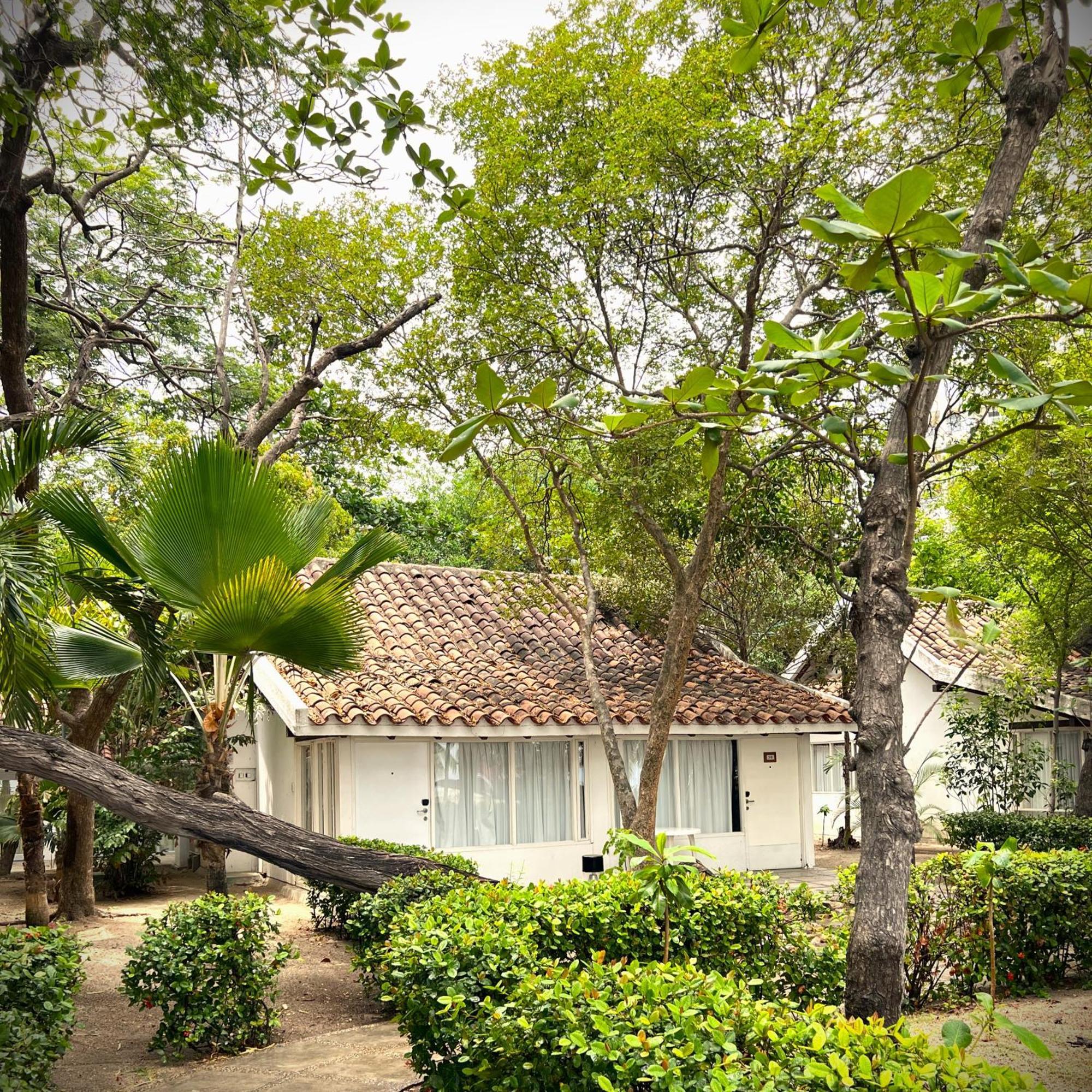 Hotel Irotama Bungalows & Bohios Santa Marta (Magdalena) Exterior foto